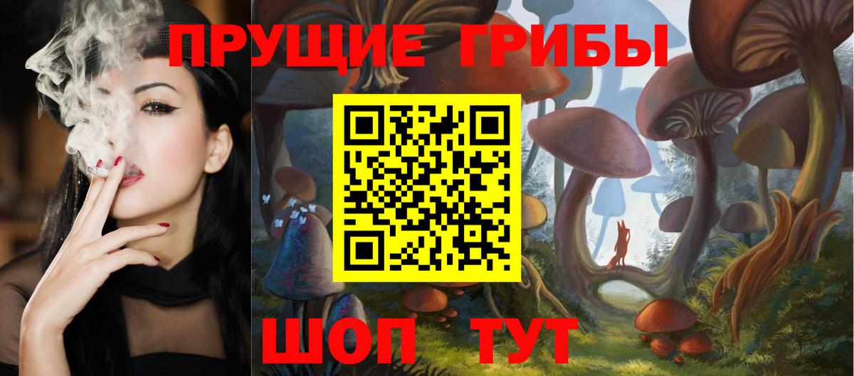 Псилоцибиновые грибы Psilocybe Соль-Илецк