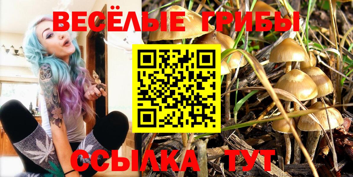 Псилоцибиновые грибы прущие грибы  Галлюциногенные грибы Cubensis  Соль-Илецк  Вход с VPN 